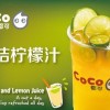 coco都可奶茶連鎖店加盟項(xiàng)目