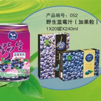 小白蘭藍(lán)莓汁系列風(fēng)味果汁飲料家庭囤貨裝禮盒裝